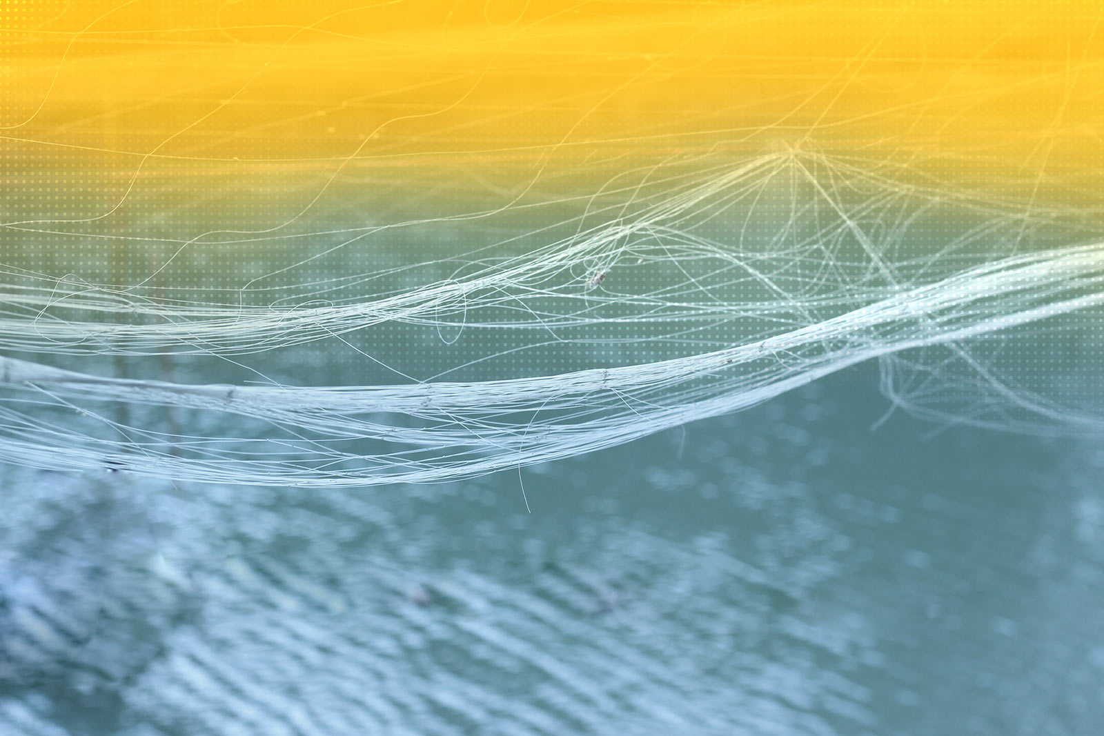 720 unternehmensberatung selden